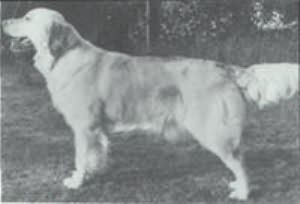 Beamsley Brodie
