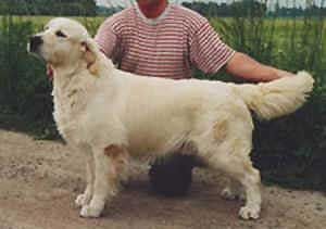 Shanlimore Breeze