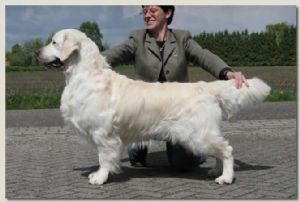 Xanthos Apple Jack