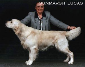 Gunmarsh Lucas
