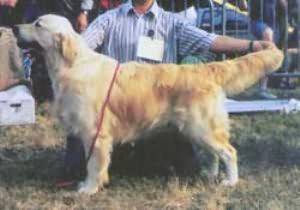Mabella James V.D. Beerse Hoeve
