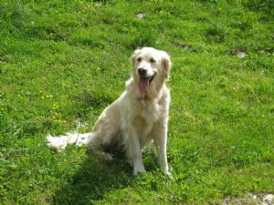 Clotilde